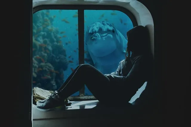 薄暗い水族館で一人でイルカを見つめる女性