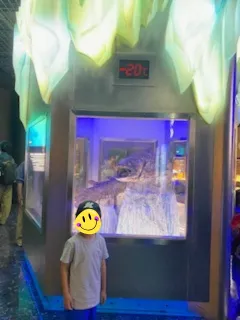 ガラスで囲まれた展示コーナーの冷凍シーラカンスの写真