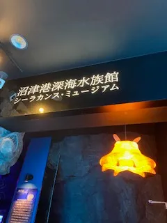 シーラカンス・ミュージアムの受付上部の看板と、隣に吊り下げられたオレンジ色に光るメンダコのランプ