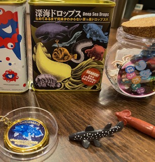 深海魚　お土産