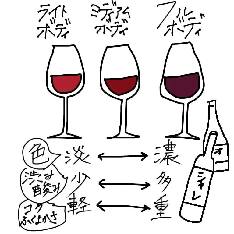 ミディアムボディからフルボディの色、渋み、コクの手書き説明図