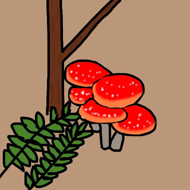 光浦靖子さんのInstagramにアップされたキノコのイラスト